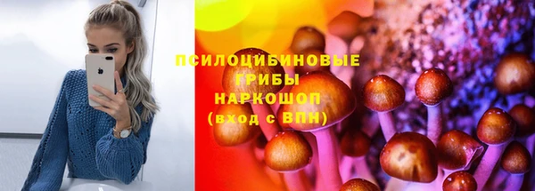 2c-b Медвежьегорск